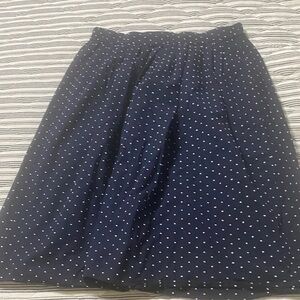 J. Crew Navy Polka Dot Circle Skirt